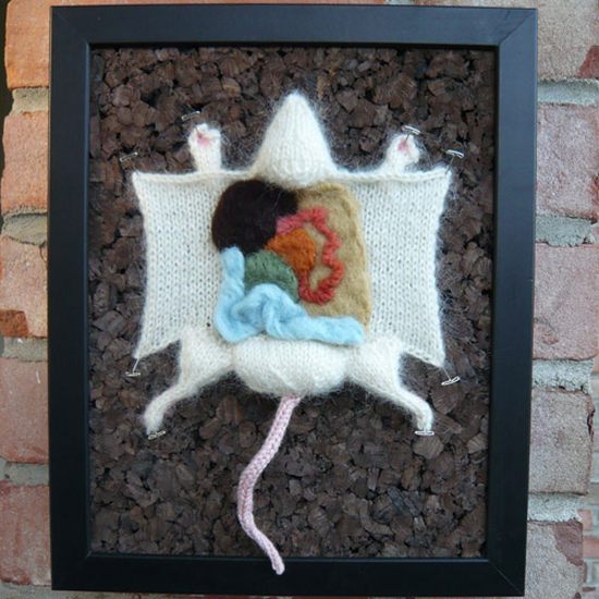 Knitted Animal Dissection (17 pics)