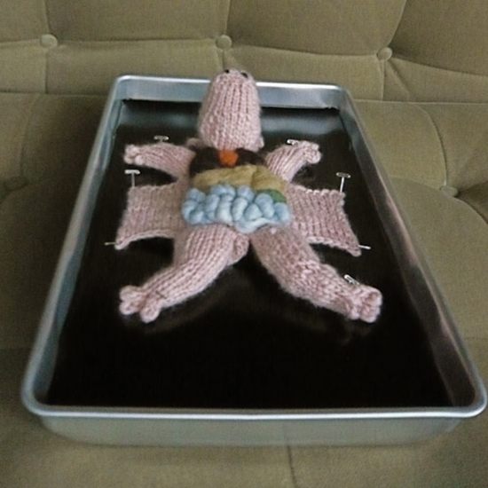 Knitted Animal Dissection (17 pics)