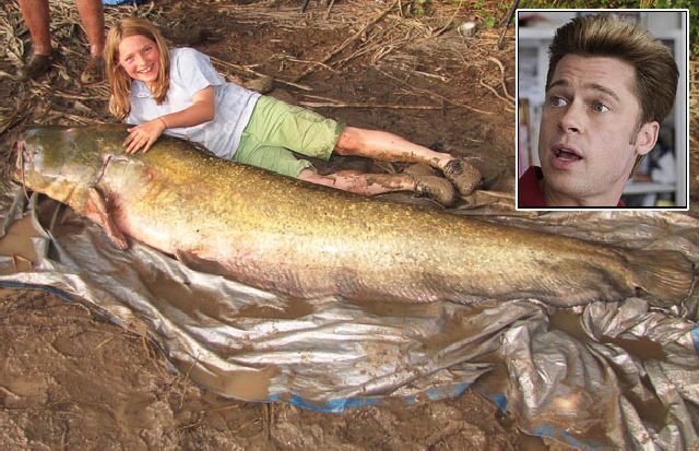 Celebrity Weight That Corresponds the Weight of Different Fish (11 pics + text)
