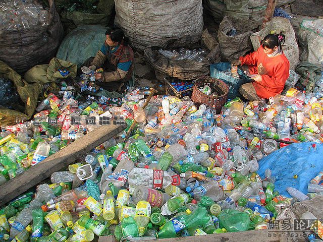 Mountains of Used Plastic Bottles (9 pics)