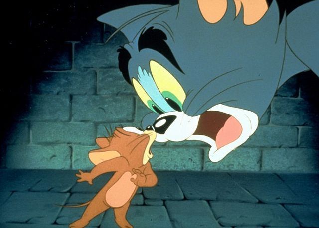 The Real Tom and Jerry (5 pics)