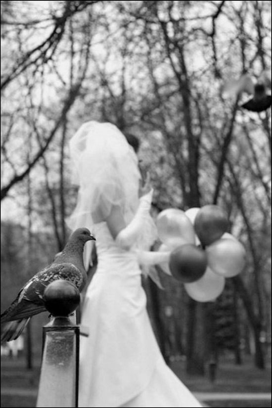 Amusing Wedding Photo Project (18 pics)