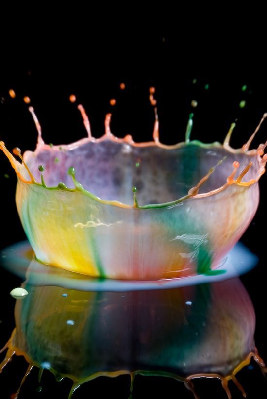 The Magnificence of High Speed Photography (40 pics)