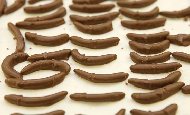 Insect Candy for a Strong Stomach (14 pics)