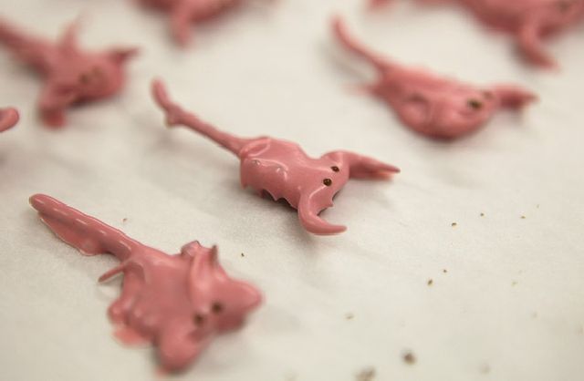 Insect Candy for a Strong Stomach (14 pics)