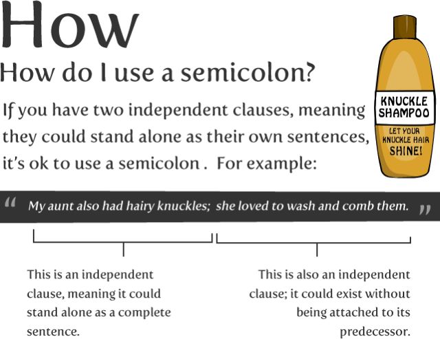 How to Use a Semicolon! (9 pics)