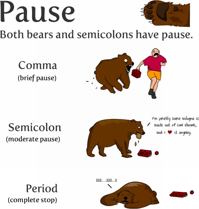 How to Use a Semicolon! (9 pics)