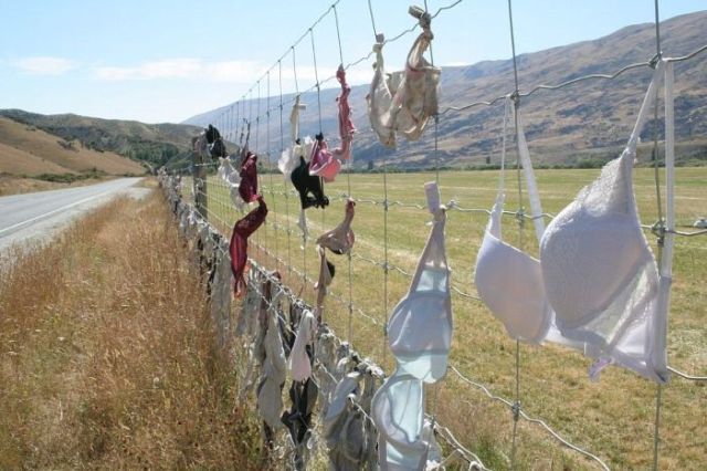 Have You Ever Been Asked To Donate Your Bra? (9 pics)