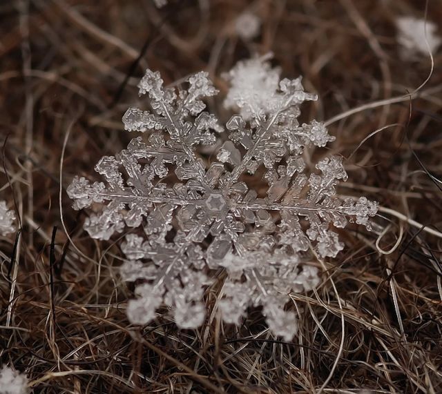 The marvels of Winter (26 pics)