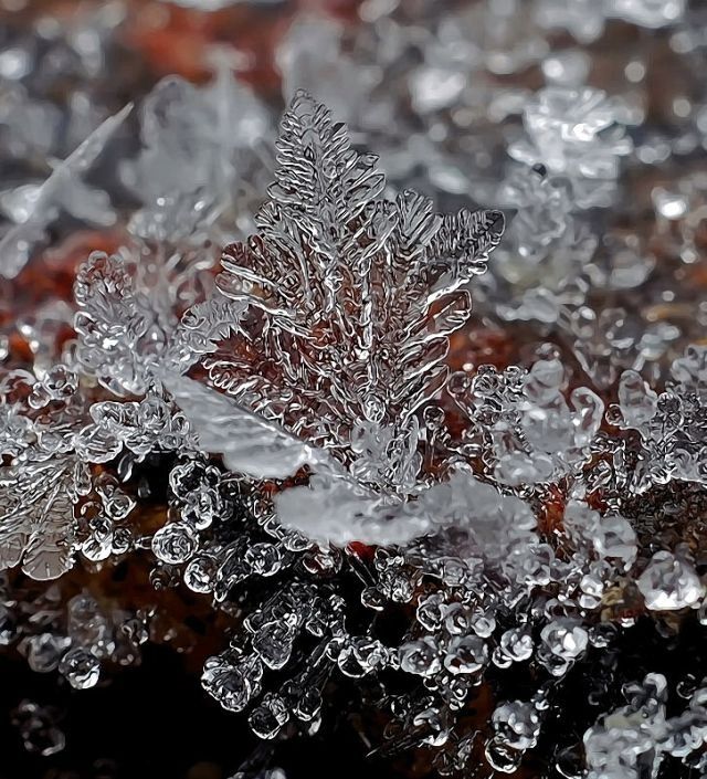 The marvels of Winter (26 pics)