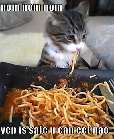 Funny Series of Nom Nom Nom. Part 2 (33 pics)