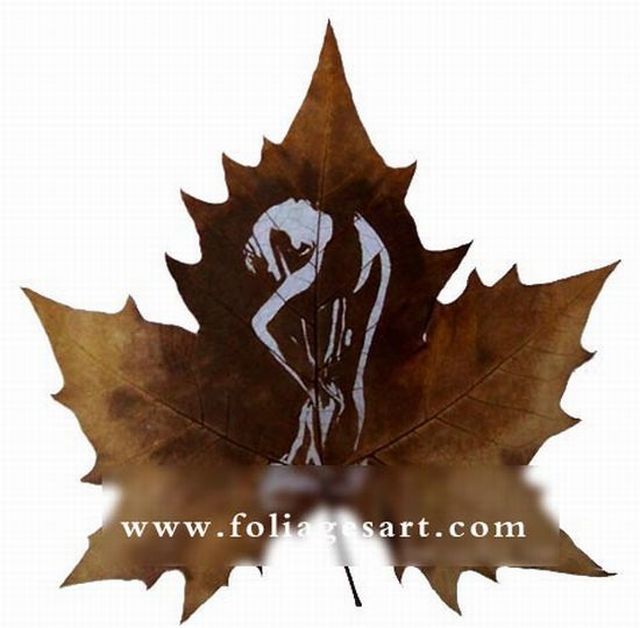 Amazing Artwork in Autumn Leaves (75 pics)