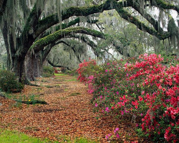 Mother Nature In All Its Glory (25 pics)