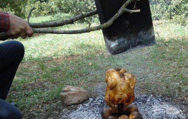 One Easy Way to Cook a Chicken (15 pics)