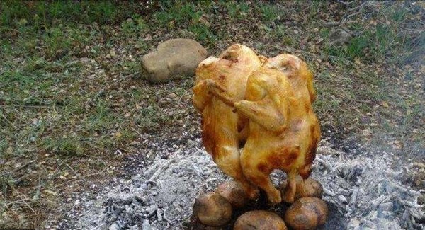 One Easy Way to Cook a Chicken (15 pics)