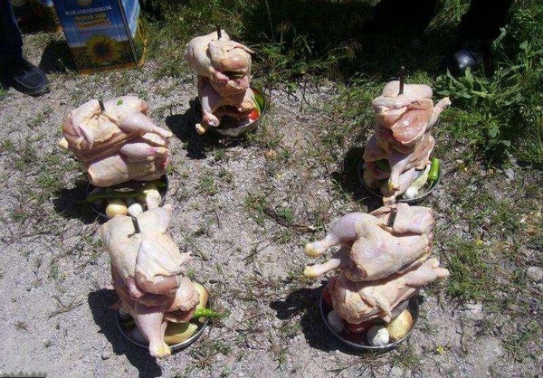 One Easy Way to Cook a Chicken (15 pics)