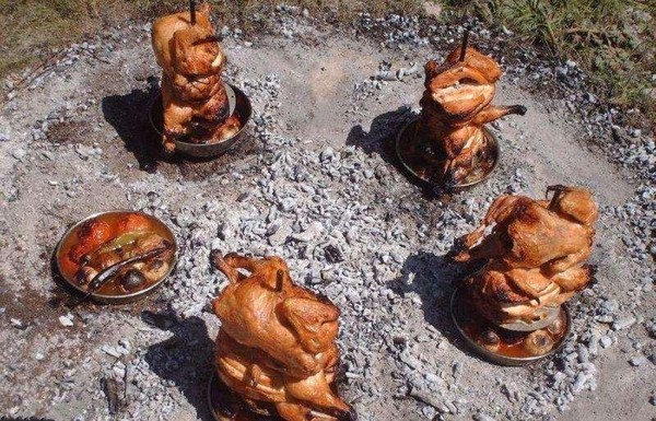 One Easy Way to Cook a Chicken (15 pics)