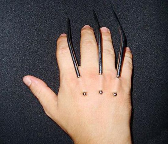 A Real Life Wolverine (12 pics)