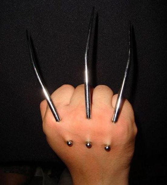 A Real Life Wolverine (12 pics)