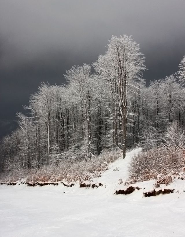 The Wonders of Winter (51 pics)
