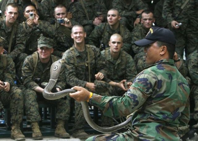 Cobra Gold 2010-Marine’s Worst Truth (24 pics)