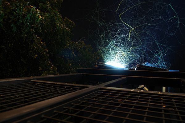 Flying Moths Caught on Camera Leaving Traces Behind Them at Night (17 pics)