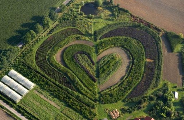 Hearts Created by Nature (11 pics)