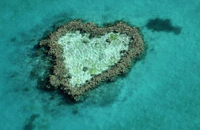 Hearts Created by Nature (11 pics)