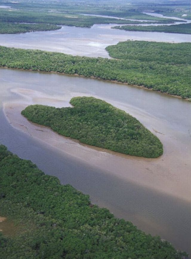 Hearts Created by Nature (11 pics)