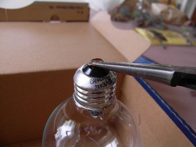 Light Bulb Terrarium (19 pics)