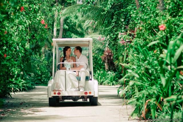 A Tropical Wedding (99 pics)