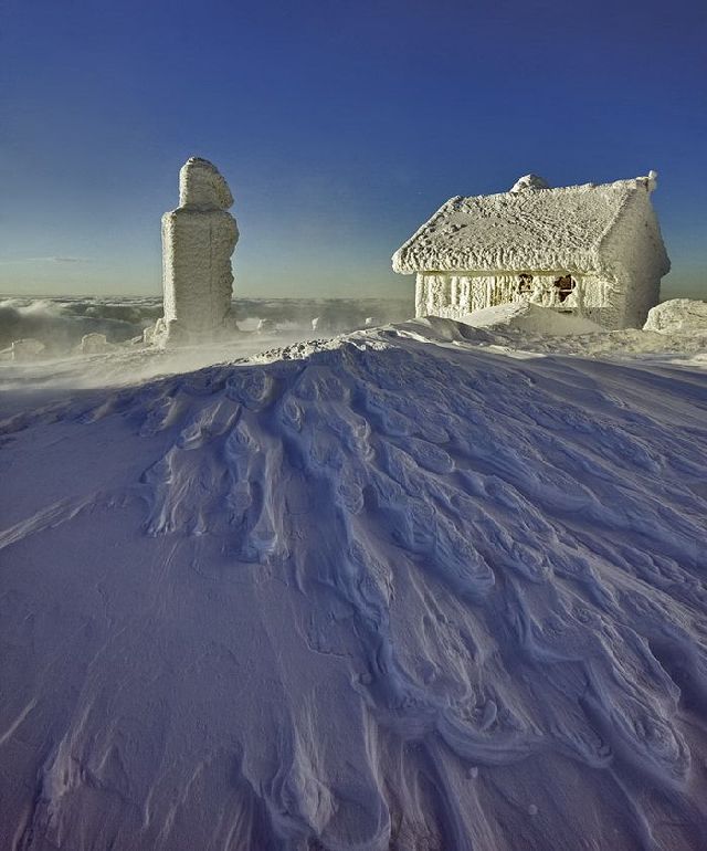 Real Snow Realm (21 pics)