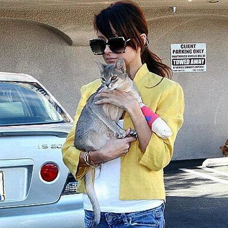 Celebrities Are Cat People Too (67 pics)
