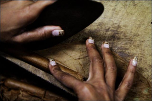 Manufacture of Cuban Cohiba Cigars (18 pics)