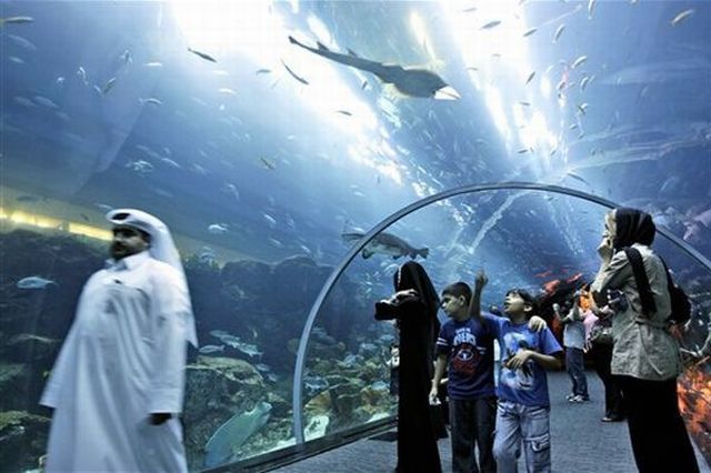 Amazing Aquarium (14 pics + 1 video)
