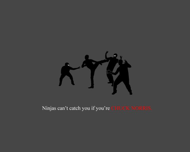 Ninjas Can't Catch You If… (75 pics)
