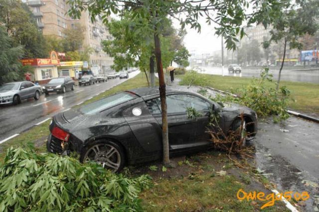 Audi Accidents In Moscow (14 pics)