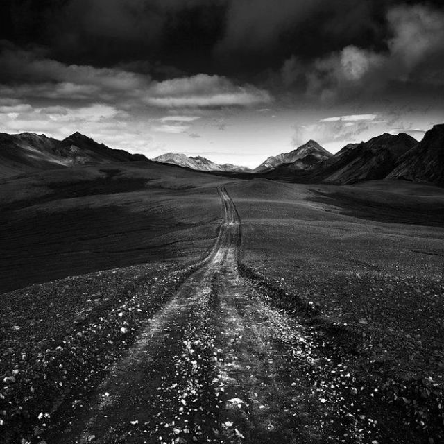 Amazing World in Black and White Colors (29 pics)