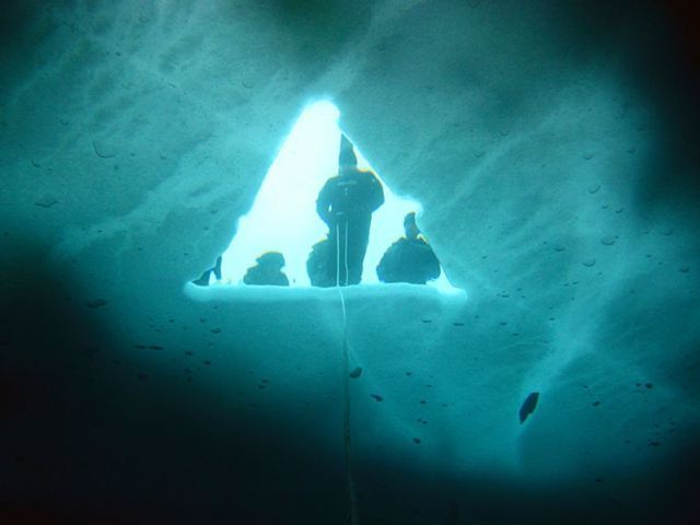 Crazy Ice Diving (14 pics)