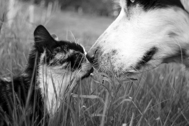 Love in ‘Black and White’ (36 pics)