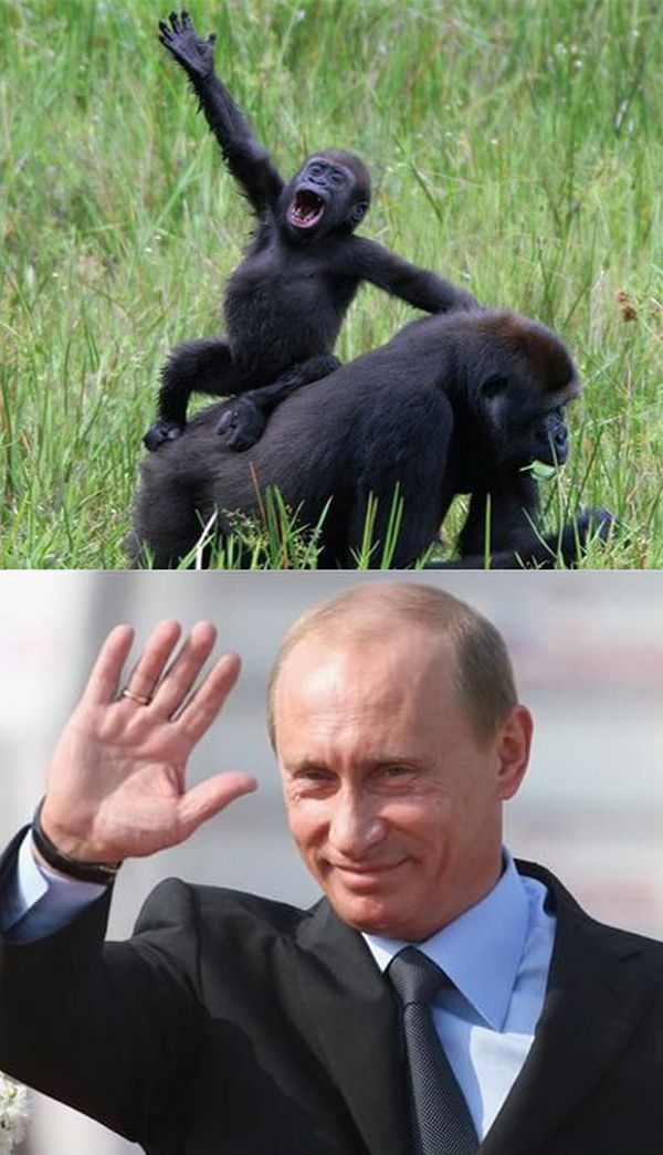 Hello Putin! (20 pics)