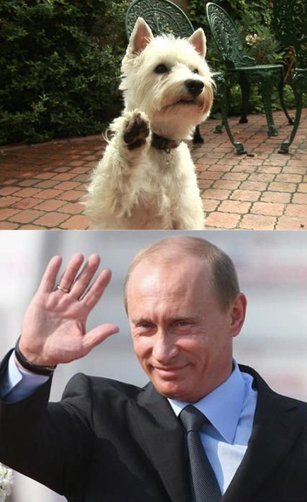 Hello Putin! (20 pics)