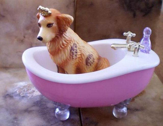 Bath Time for Dogs (29 pics)