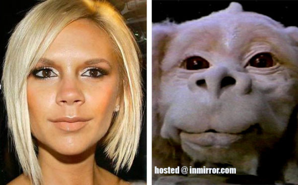 Do They Look Identical? (80 pics)