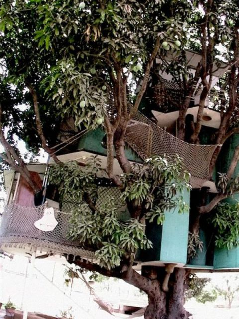 Mango Tree House (11 pics)