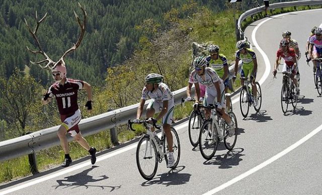 Unusual and Funny Sports Pictures (47 pics)