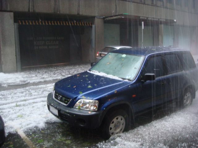 “Spring” Comes to Australia (42 pics + 1 video)