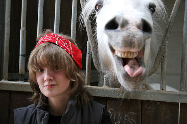 Funny Horse Photobombs (23 pics)