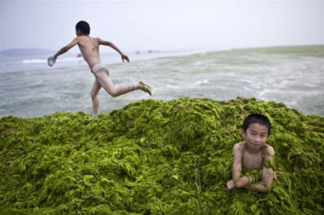 The Life of Chinese Kids (30 pics)