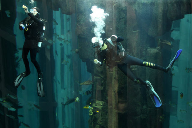 Unbelievable: Elevator Inside Aquarium (11 pics)